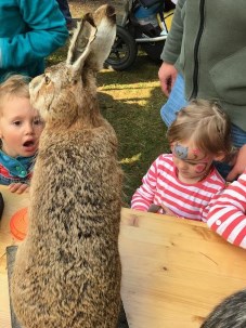 Naturerlebnistag_Uhlenkolk_2017_1